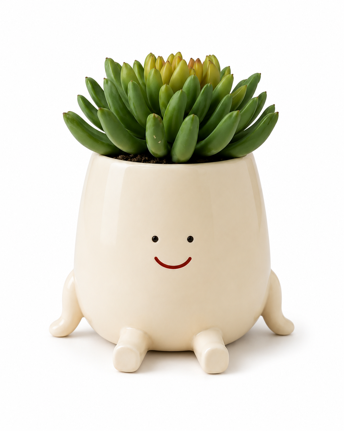 Good Mood Pot Resin Planter with Artifical Succulent