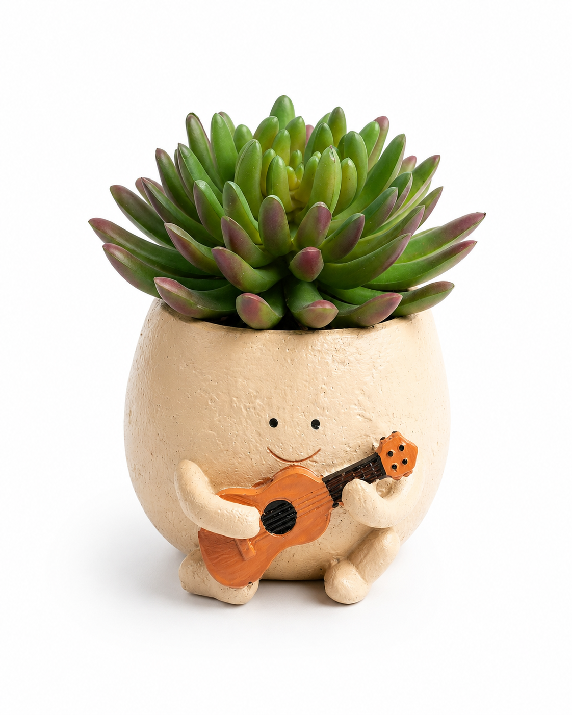 Strum Buddy Resin Planter with Artificial Succulent