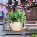 Plants in a decorative pot shaped like a face, hanging from a branch with cherry blossoms in the background.