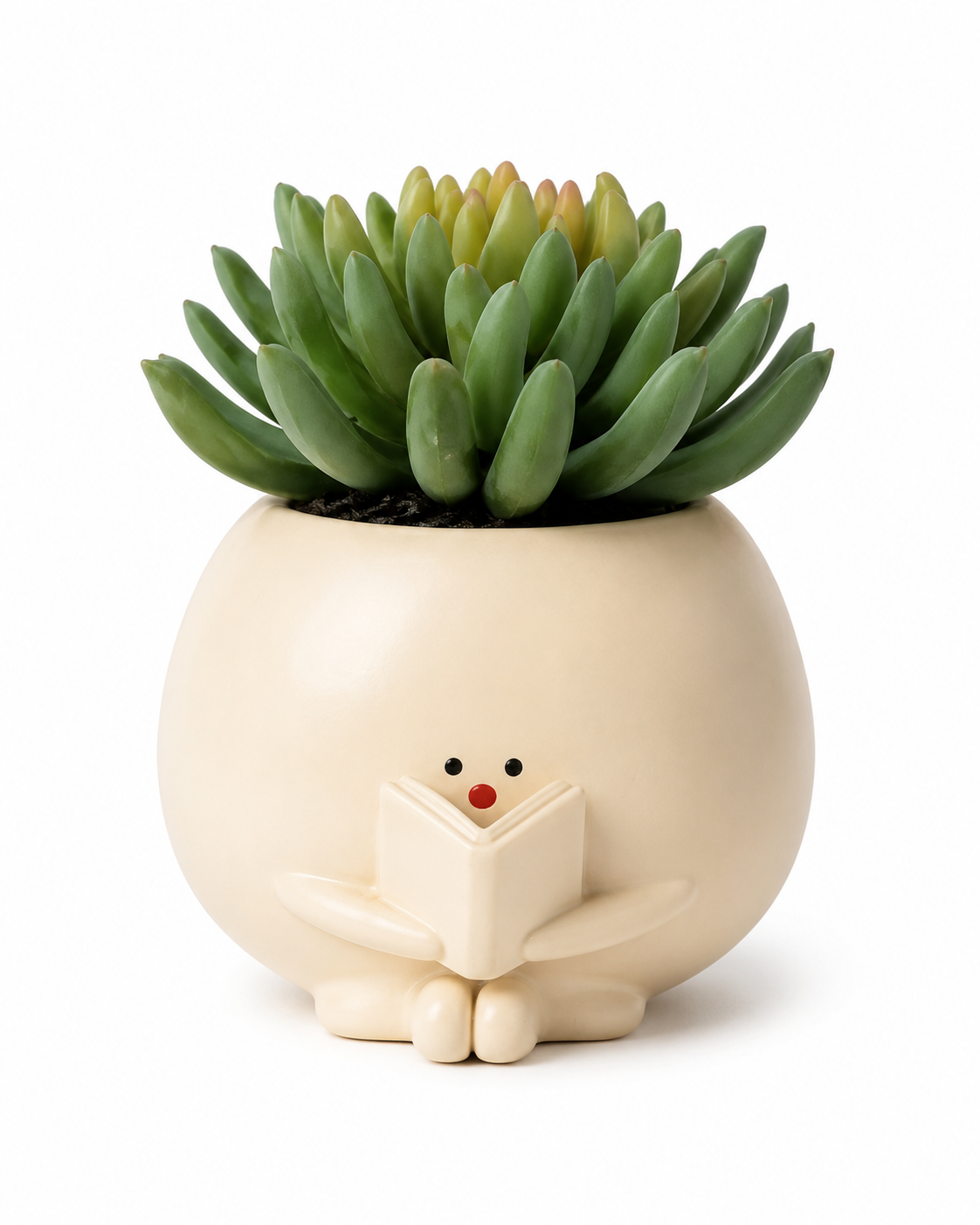 The Bookworm Resin Planter with Artifiicial Succulent