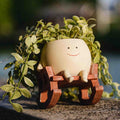 Ceramic planter with a smiling face on a wooden bench surrounded by green leaves.
