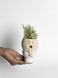 Hand holding a unique plant pot with a face design on a white background