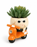 Lil' Leaf Rider Resin Planter with Artifiicial Succulent